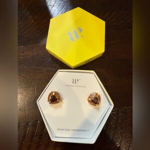 Bomb Party Elegant Gold and Brown Earrings